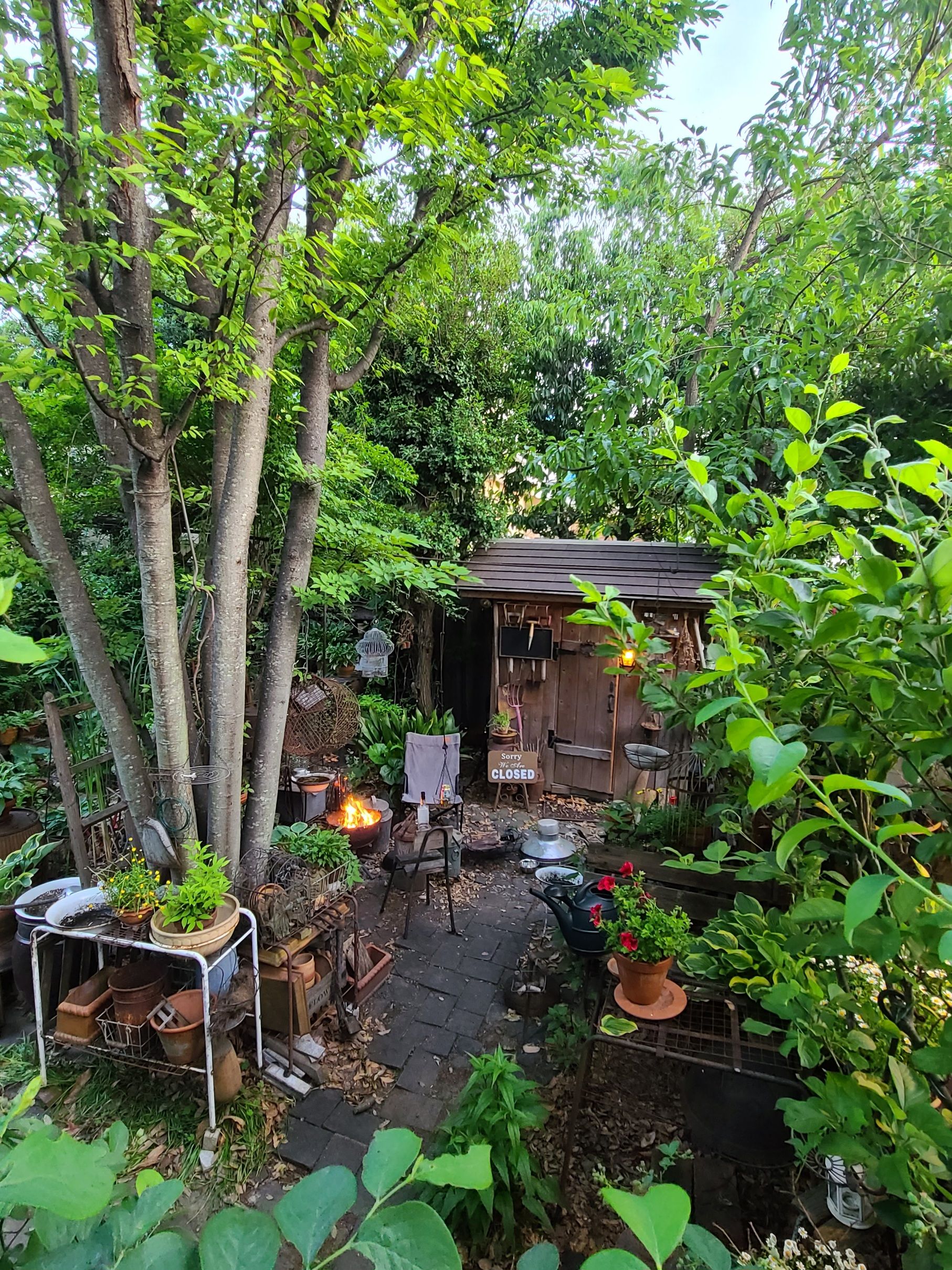 28 Charming Garden Ideas That You'll Like 23 pinterest 693132198929613231