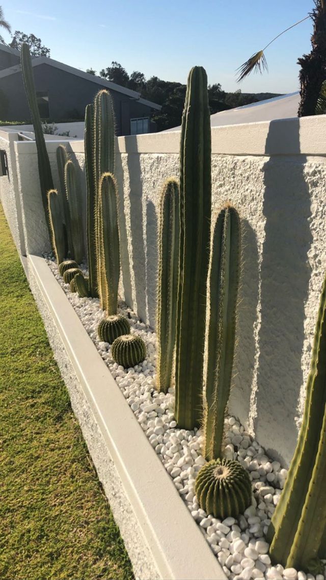 38 Gorgeous Landscaping Ideas Along Fences You’ll Fall in Love With