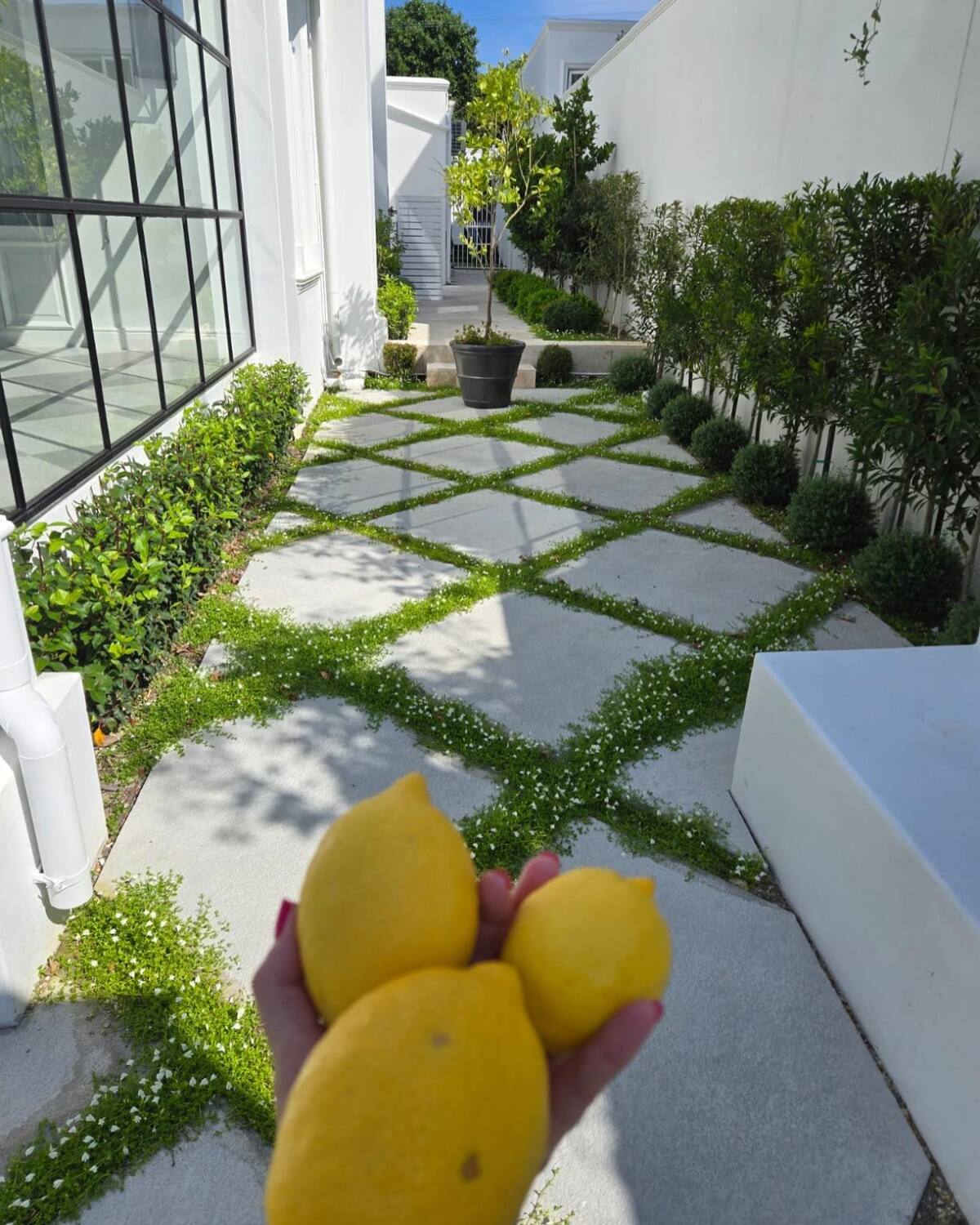 stunning-small-garden-design-13 stunning small garden design 13
